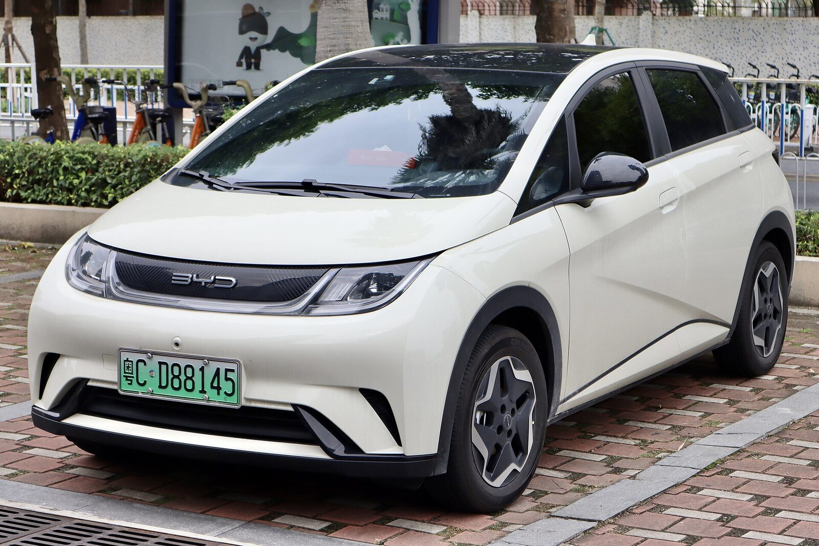 BYD Dolphin — Immagine indicativa